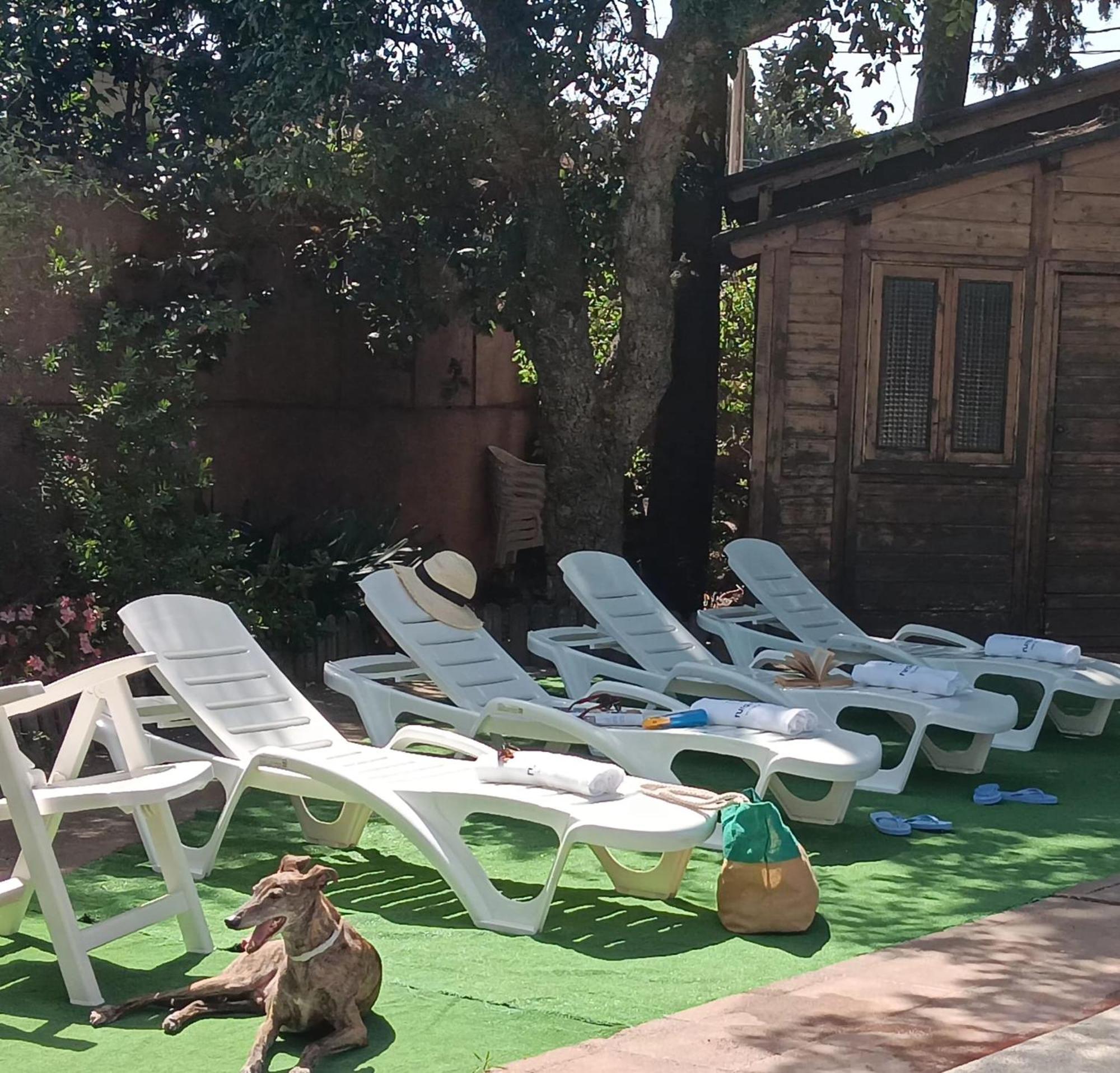 Casa La Maestra La Muela (Algodonales)